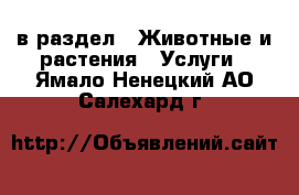  в раздел : Животные и растения » Услуги . Ямало-Ненецкий АО,Салехард г.